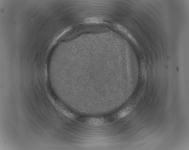 X0000079290494200612151705