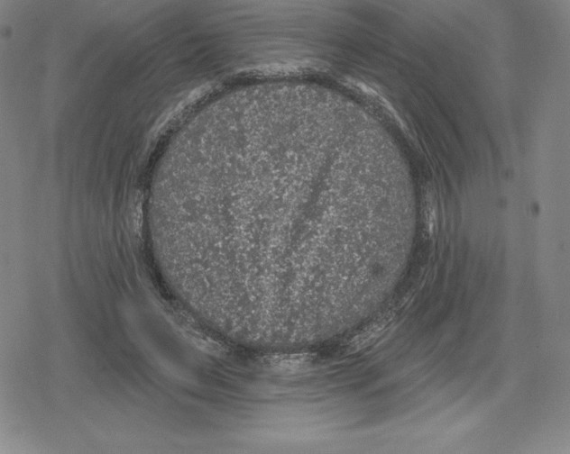 X0000079290495200612151705