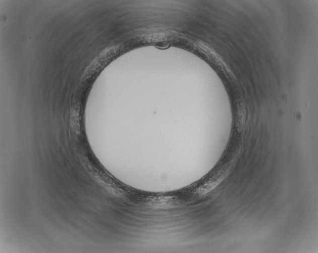 X0000079290497200612151705