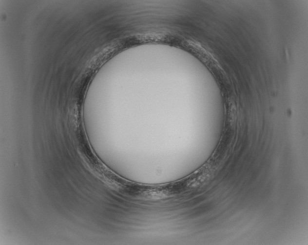 X0000079290498200612151705