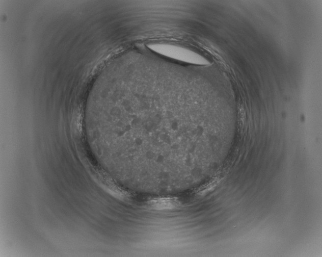 X0000079290499200612151705