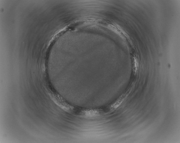 X0000079290500200612151705