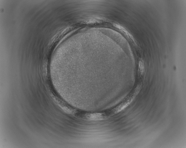 X0000079290501200612151705