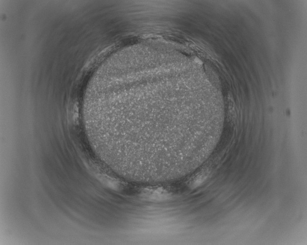 X0000079290502200612151705