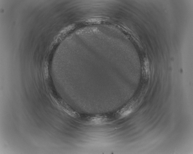 X0000079290504200612151705