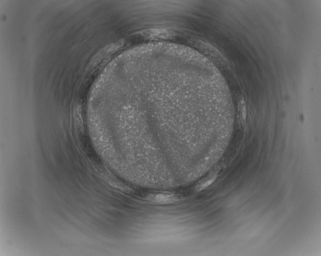 X0000079290506200612151705