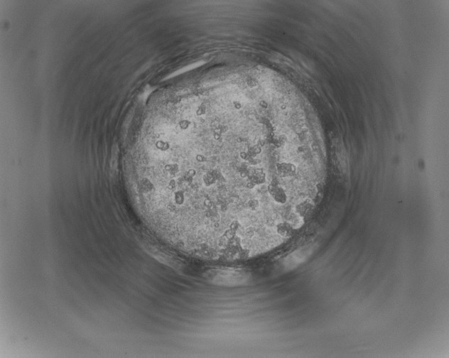 X0000079290507200612151705