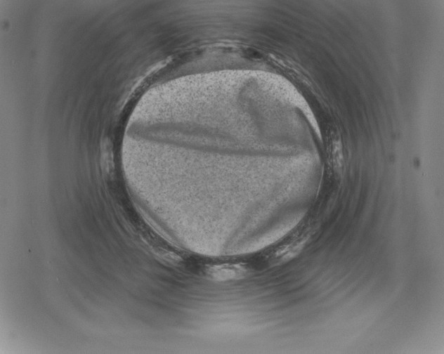 X0000079290508200612151705