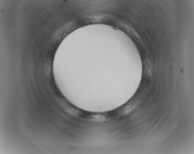 X0000079290509200612151705