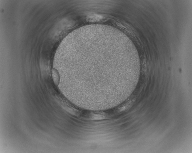 X0000079290510200612151705