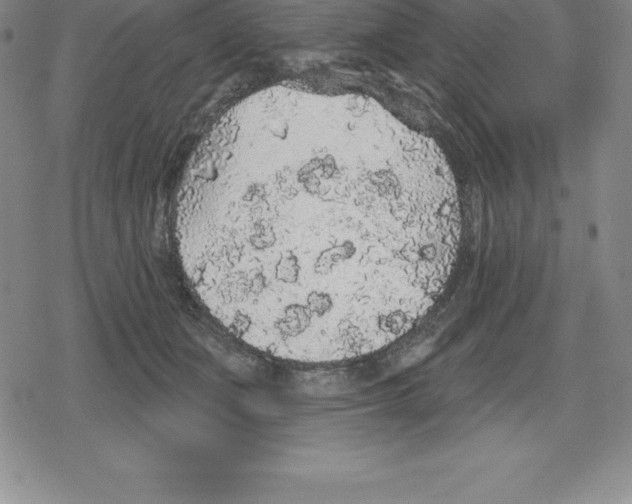 X0000079290511200612151705