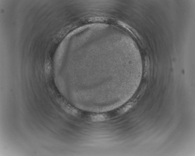 X0000079290513200612151705