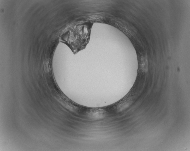 X0000079290514200612151705