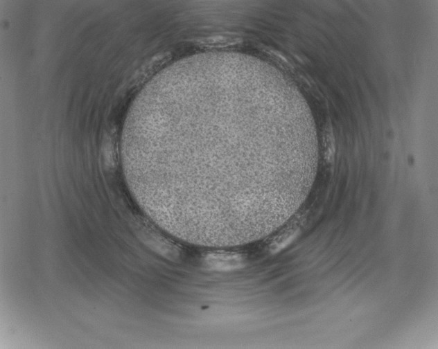 X0000079290515200612151705