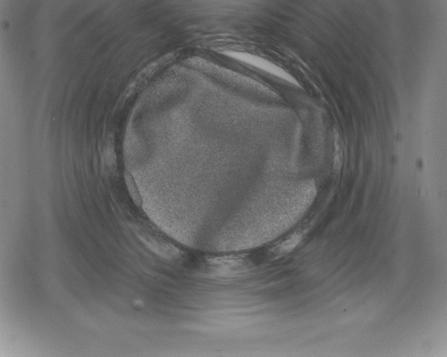 X0000079290516200612151705