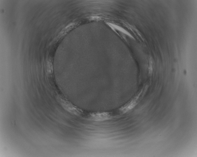 X0000079290517200612151705