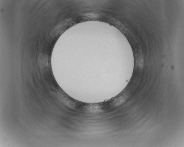 X0000079290518200612151705