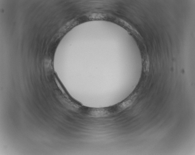 X0000079290521200612151705