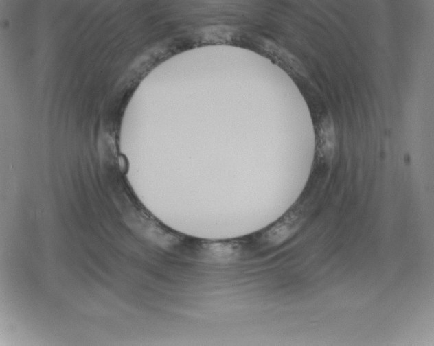 X0000079290522200612151705