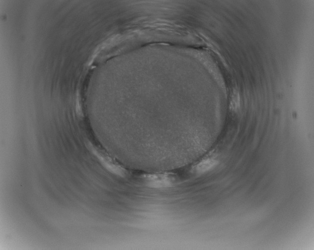 X0000079290524200612151705