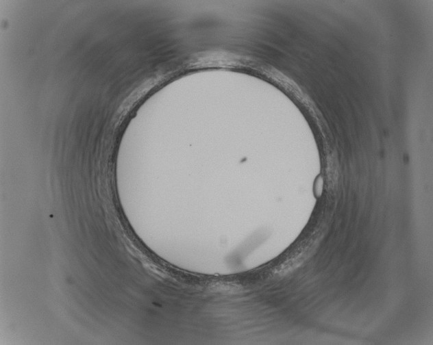 X0000079290529200612151704