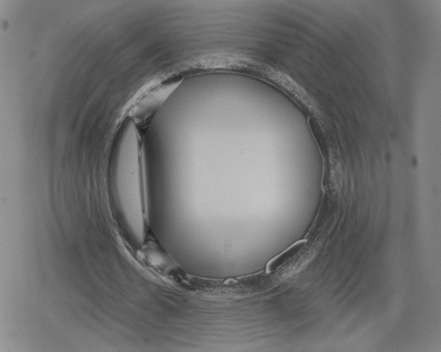 X0000079290530200612151704