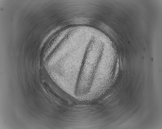 X0000079290531200612151704