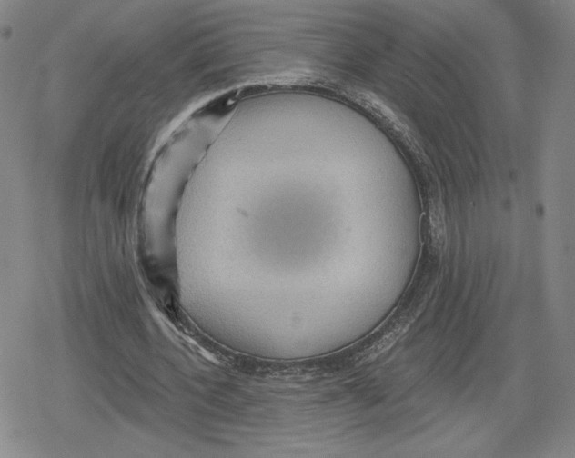 X0000079290532200612151704