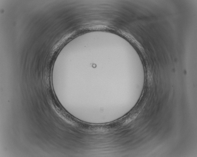 X0000079290533200612151704