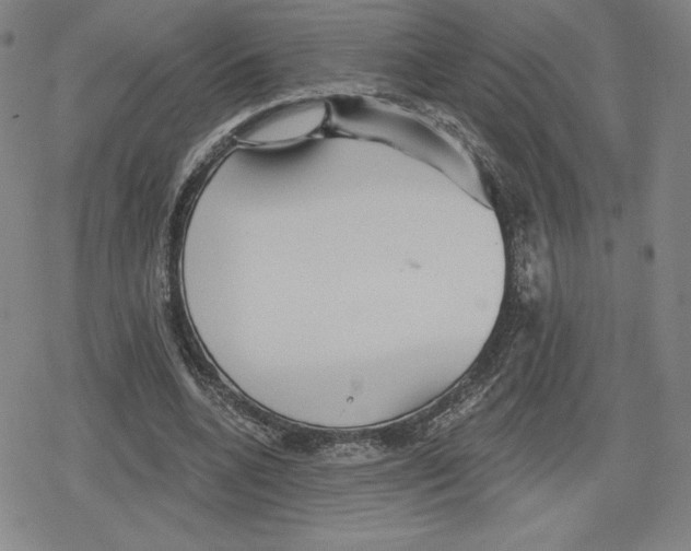 X0000079290536200612151704