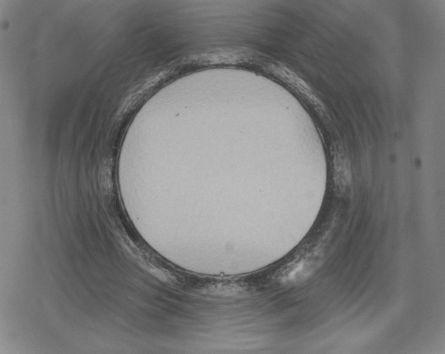 X0000079290537200612151704