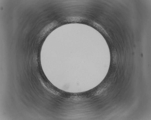 X0000079290538200612151704