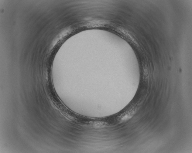 X0000079290539200612151704