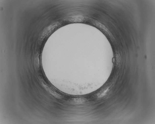 X0000079290541200612151704