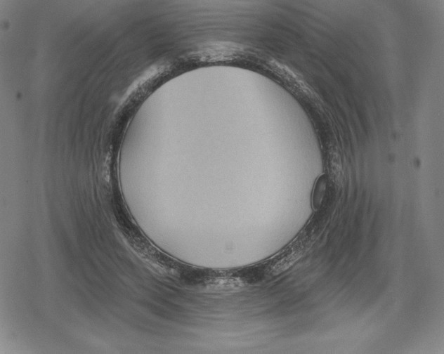 X0000079290543200612151704