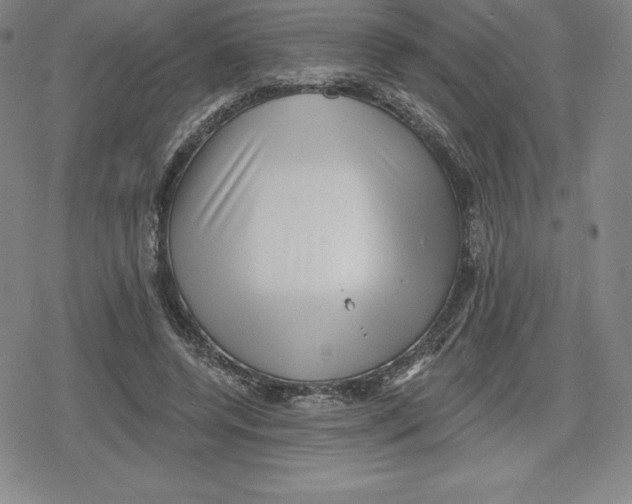 X0000079290544200612151704