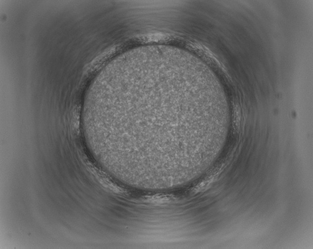 X0000079290545200612151704