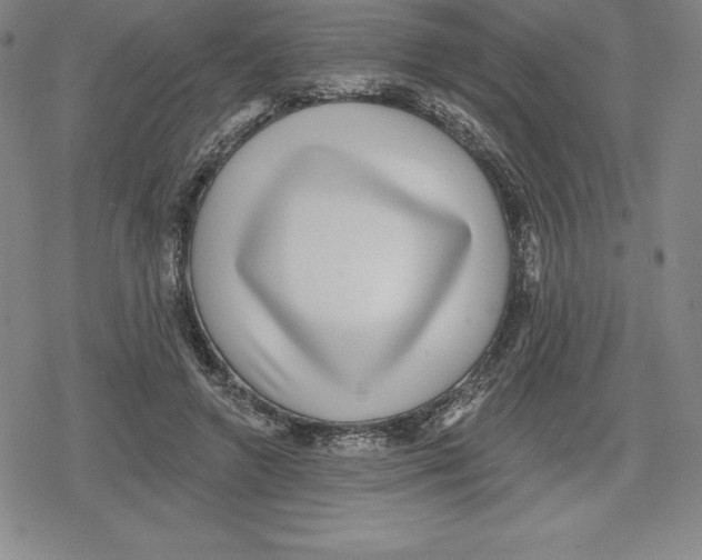 X0000079290546200612151704