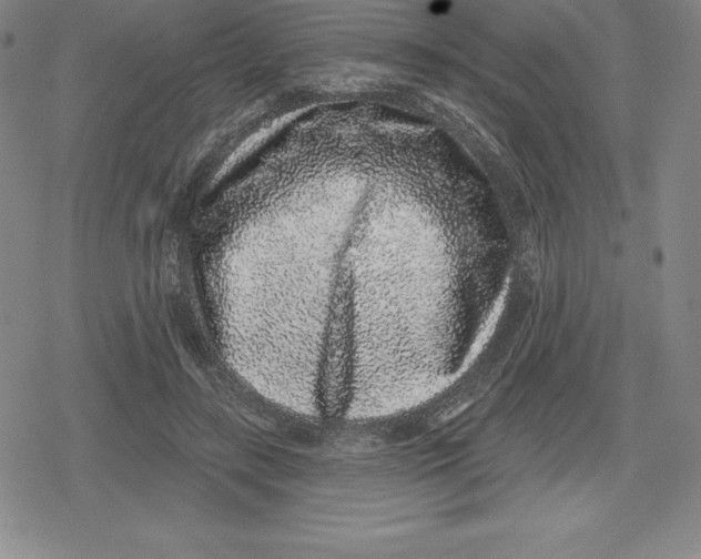 X0000079290547200612151704