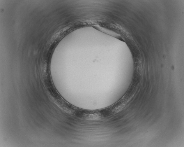 X0000079290548200612151704