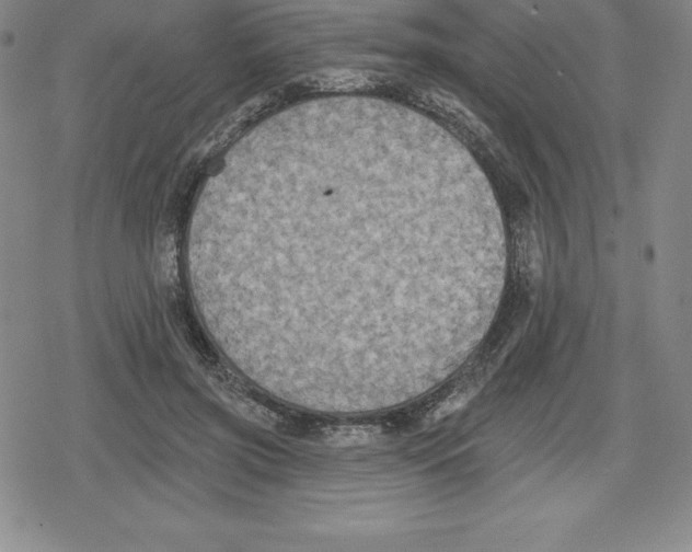 X0000079290549200612151704