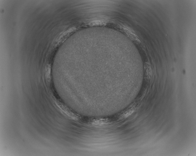 X0000079290550200612151704