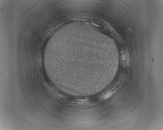 X0000079290552200612151705