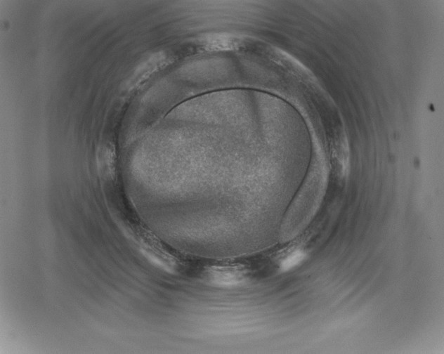 X0000079290556200612151705