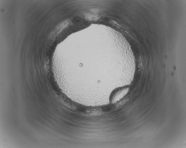 X0000079290559200612151705