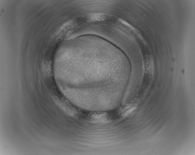 X0000079290560200612151705