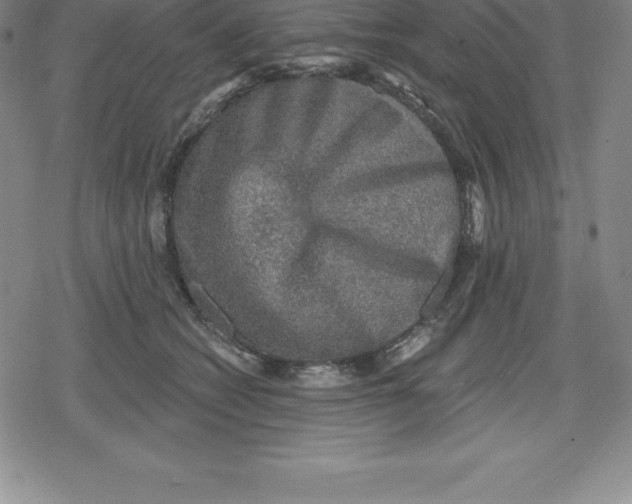 X0000079290562200612151705