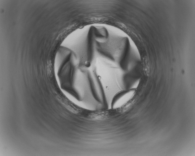 X0000079290563200612151705