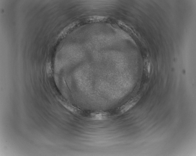 X0000079290564200612151705