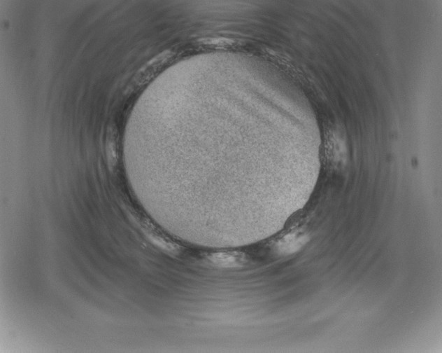 X0000079290566200612151705